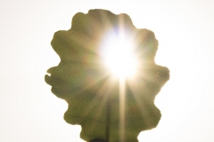 7.-la-lumiare-fut-Karine