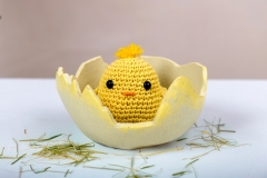 Eclosion-en-direct-Laure