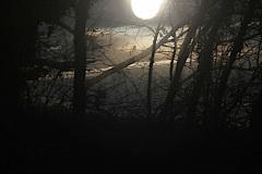 07-lune-dans-les-bois-Sophie-P