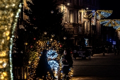 2.-Au-pied-du-sapin
