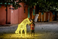 8.-Lumiere-de-fete-au-soleil