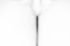 1_4.-Les-yeux-de-Bouddha