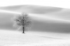 1-Alain-Le-solitaire_