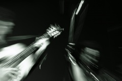 14-Dominique-Flamenco