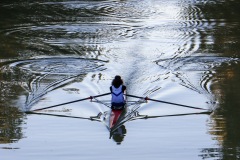 15-Aviron-Contre-jour-Christophe-P