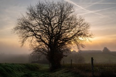 5.-Levee-du-jour-brumeux-par-Dory