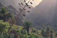 1-photo-tenerife-Gwen