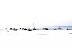 11-MarCe-basse-O-Andernos-Dominique