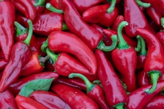 12-Piment-espelette-2025-Laurence