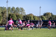 1.-RUGBY-EN-ROSE