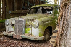 6.-Mercedes-abandonnee_Dory