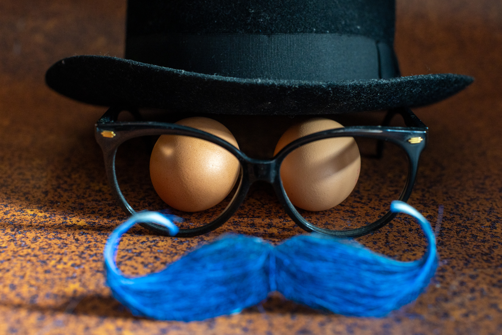 Exposition Movember – Club Photo Iso 32 à Auch