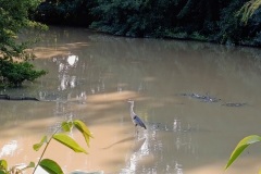 01-bain_de_pattes-Marilou