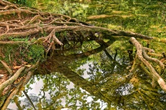2-Reflets-Christophe-Perrier