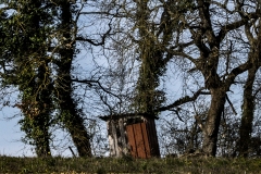 1-La-cabane-au-fond-du-jardin-Dominique-