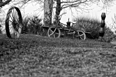 2-Jardin-secret-Christophe-P